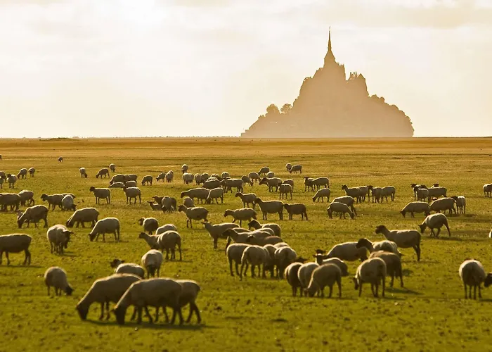 Hotelf1 Avranches Baie Du Mont Michel Hotell 3*